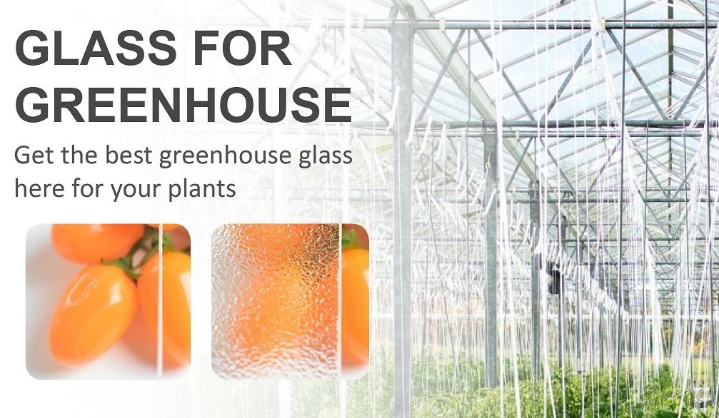 greenhouse glass-6